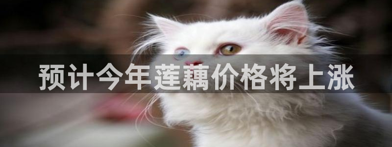 极悦娱乐app官网
