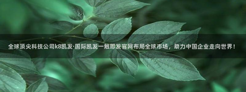 极悦娱乐下载地址：全球顶尖科技公司k8凯发·国际凯发一触即发官网布局全球市场，助力中国企业走向世界！
