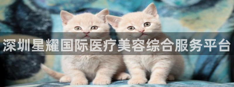 极悦娱乐app下载：深圳星耀国际医疗美容综合服务平台