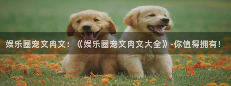 极悦娱乐注册：娱乐圈宠文肉文：《娱乐圈宠文肉文大全》-你值得拥有！