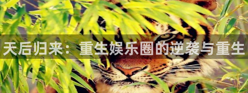 壹号平台注册链接官网下载：天后归来：重生娱乐圈的逆袭与重生