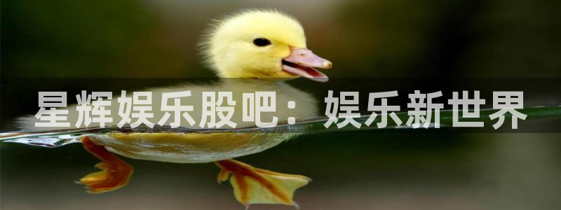 极悦娱乐(com.youad.authst)：星辉娱乐股吧：娱乐新世界