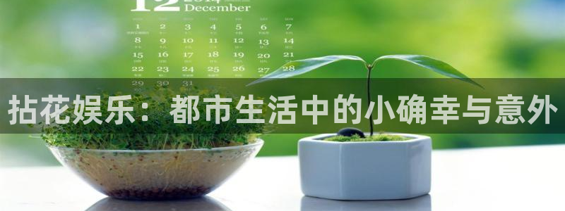 壹号平台app下载安装：拈花娱乐：都市生活中的小确幸与意外
