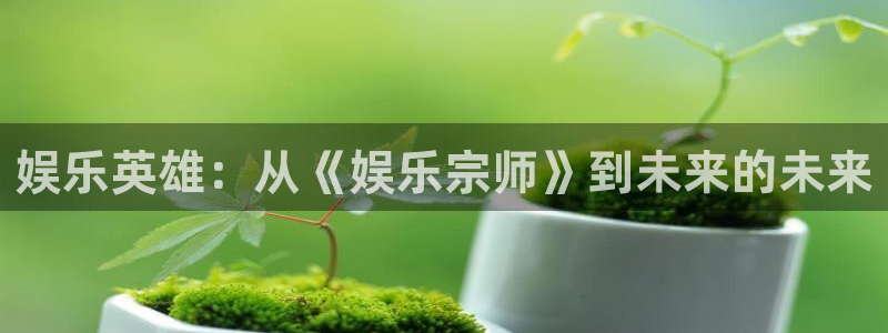 极悦娱乐游戏官网平台：娱乐英雄：从《娱乐宗师》到未来的未来