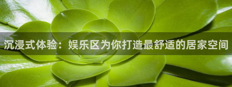 极悦娱乐游app：沉浸式体验：娱乐区为你打造最舒适的居家空间