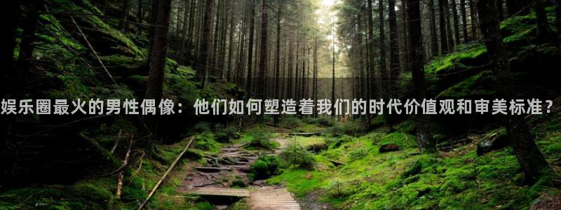极悦娱乐app最新版：娱乐圈最火的男性偶像：他们如何塑造着我们的时代价值观和审美标准？